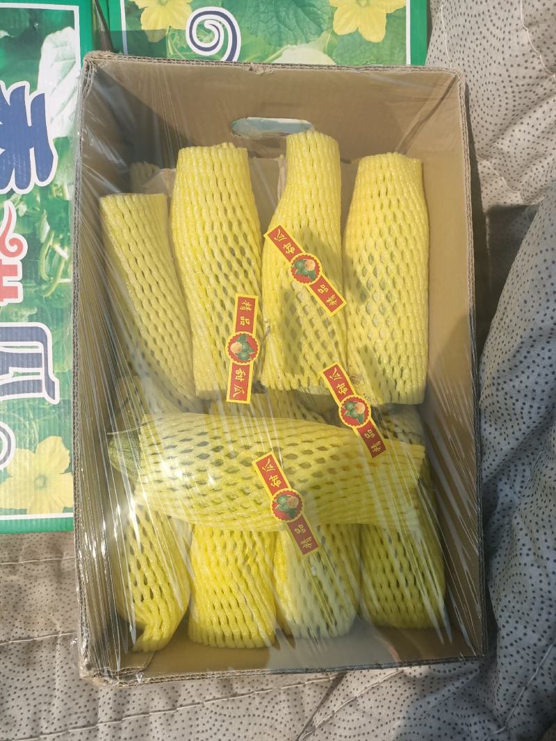 香瓜