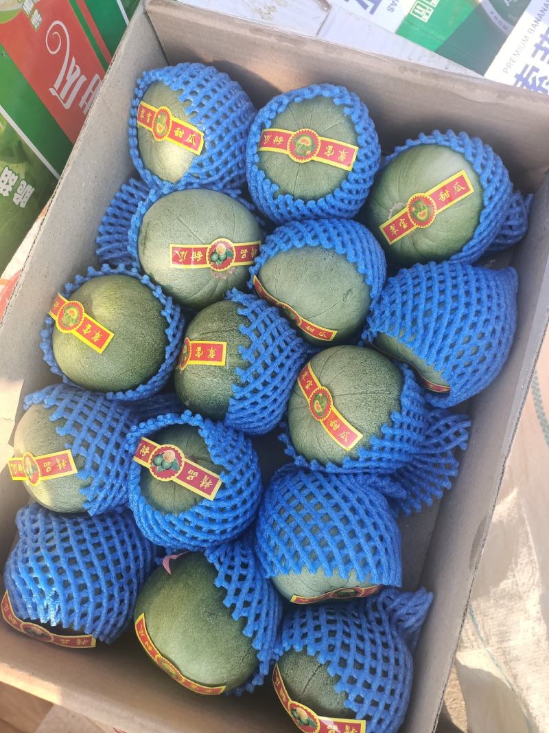 香瓜