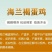 海蓝褐蛋鸡苗包防疫包运输包成活率货到满意付款一次合作终身
