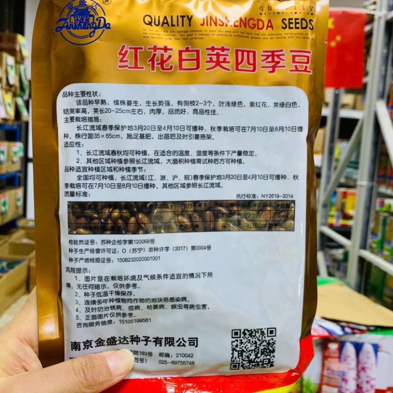红花白架四季豆种子早熟结荚率高肉厚春秋架豆种子品质好