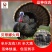 火鸡苗包防疫包运输包成活率货到满意付款一次合作终生朋友