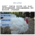 火鸡苗包防疫包运输包成活率货到满意付款一次合作终生朋友