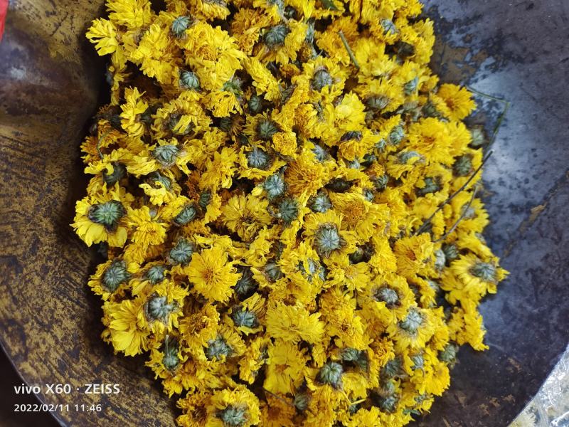 中药材黄贡菊，黄山贡菊产地一手货源，批发、零售