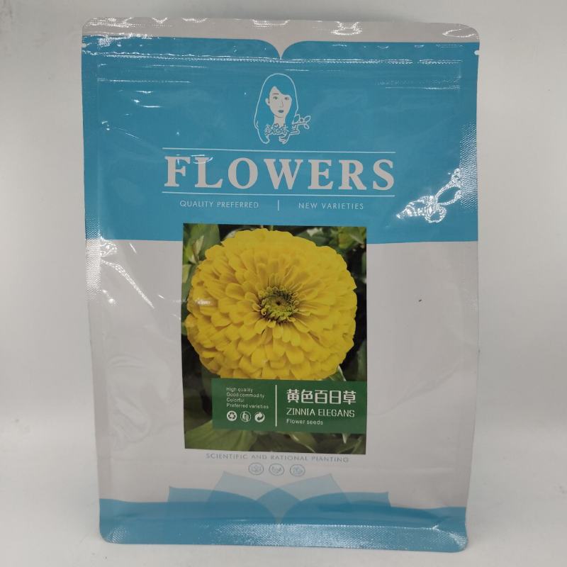 重瓣百日草花种子四季开花易活庭院花籽花卉种孑室外盆栽花种