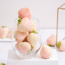 日本正宗橙色淡雪草莓白草莓支持一件顺丰空运
