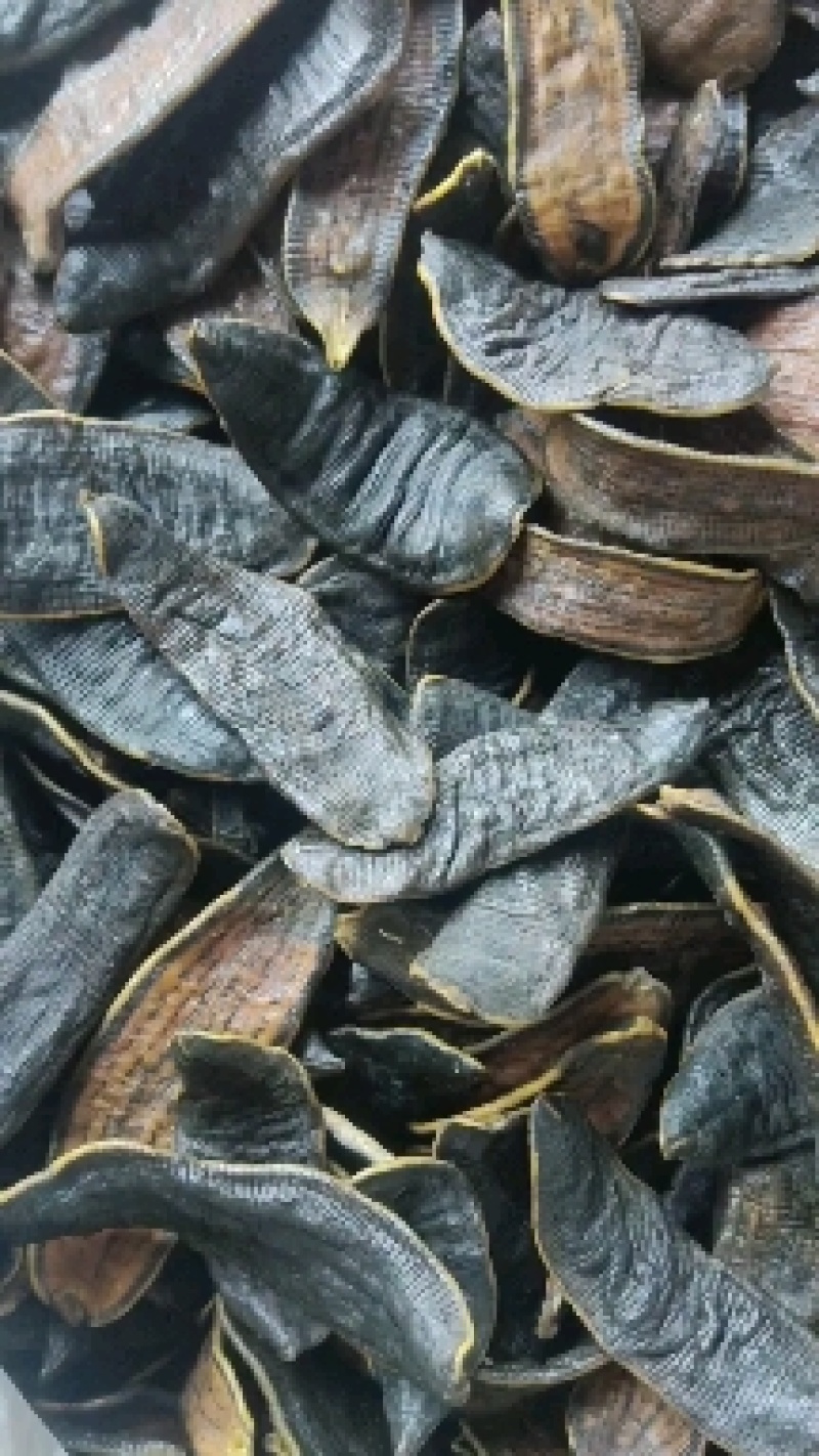 水蛭统货新货干度好关书药业批发中药材