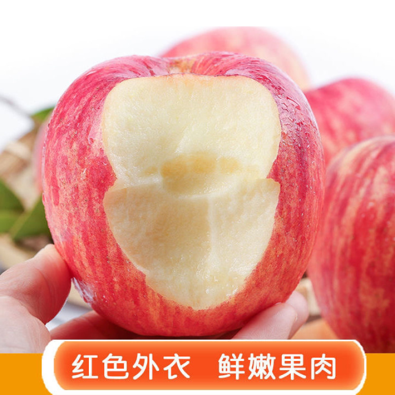 《推荐》万亩基地红富士苹果精品货源量大价优