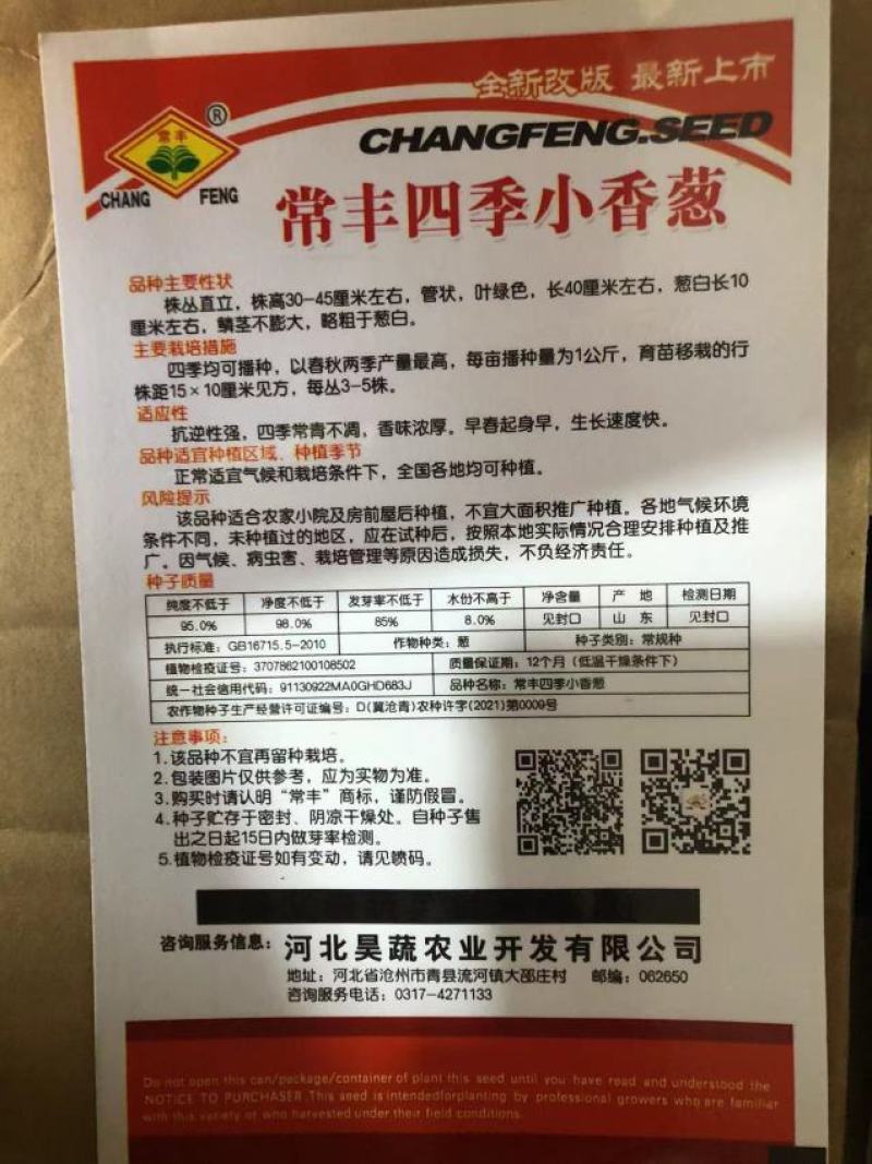 常丰葱种子