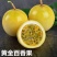 黄金百香果苗特大百香果苗当年结果鸡蛋果苗四季爬藤百香果树