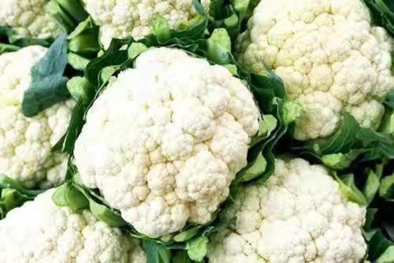 花菜松花菜、产地直销，价格便宜，保质保量，欢迎咨询订购