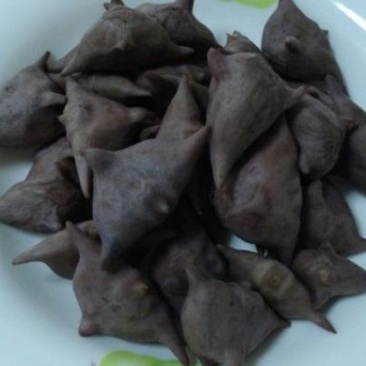 菱角