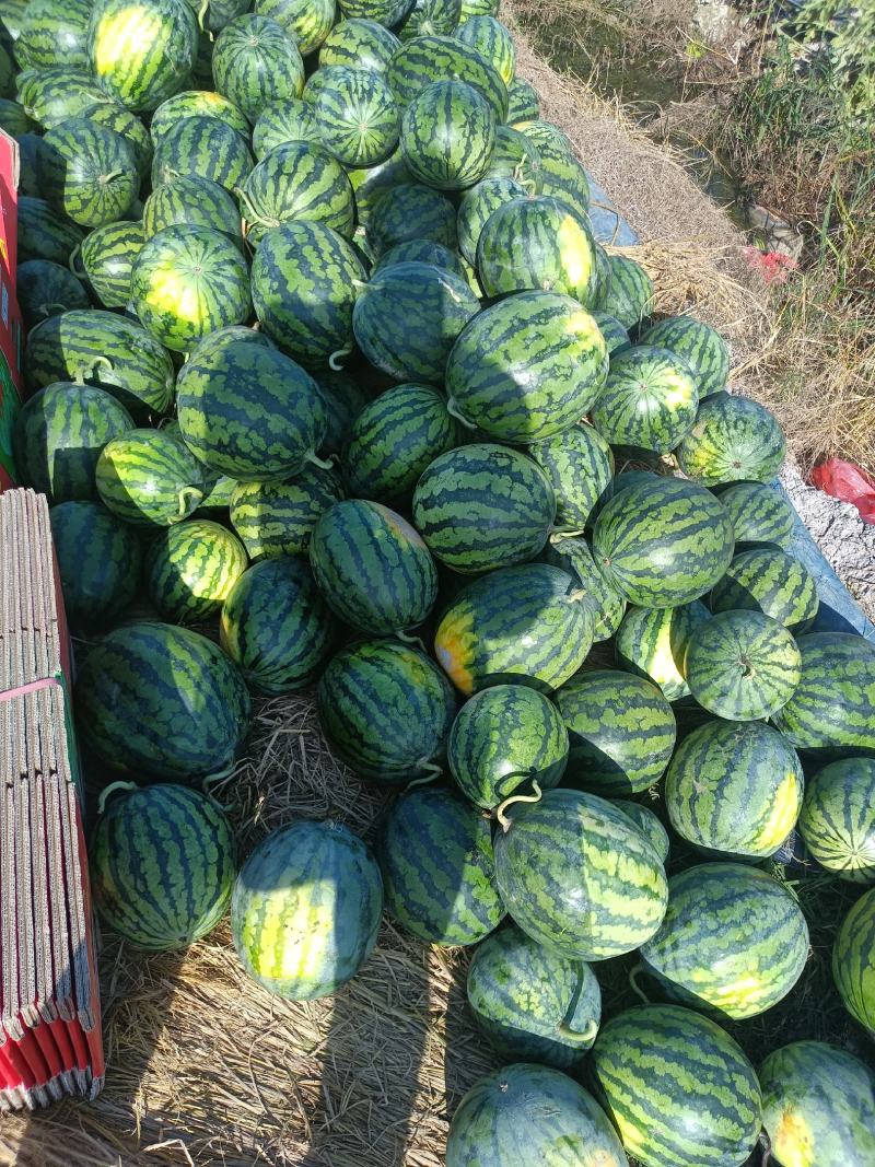 甜王西瓜