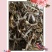 正宗观音草500g新鲜干货吉祥草晕草小叶万年青