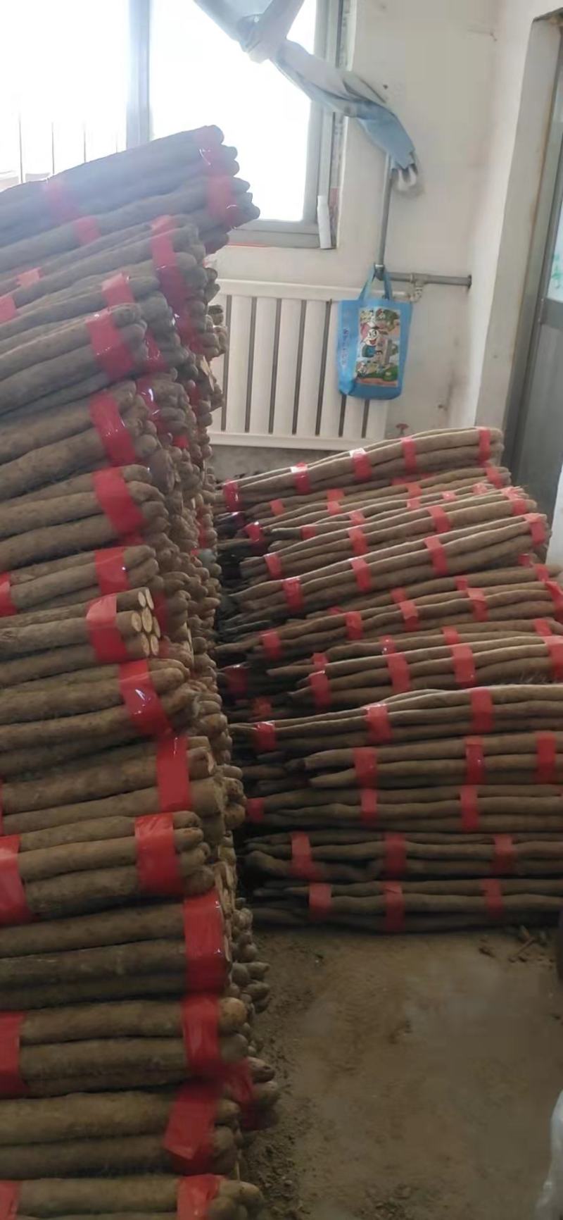 山东省菏泽市牡丹白玉山药，铁棍山药，西施山药，