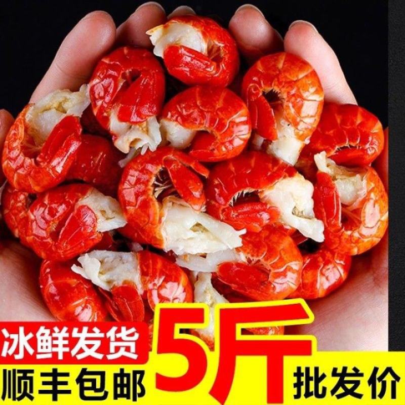 【大号龙虾尾】新鲜无头小龙虾冷冻特级龙虾尾批发龙虾肉顺丰