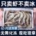 【只只分离】青岛大虾子新鲜鲜活海鲜水产冷冻大号冻虾白对虾