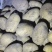 康保黄沙土黄皮黄心，个头大，薯型好，颜色好，豆三优货！