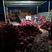 苏北地区精品红皮洋葱大量上市5-8.80以上