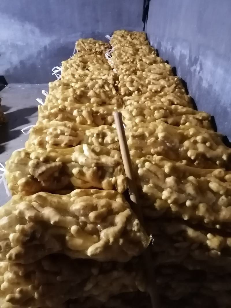 昌邑大姜