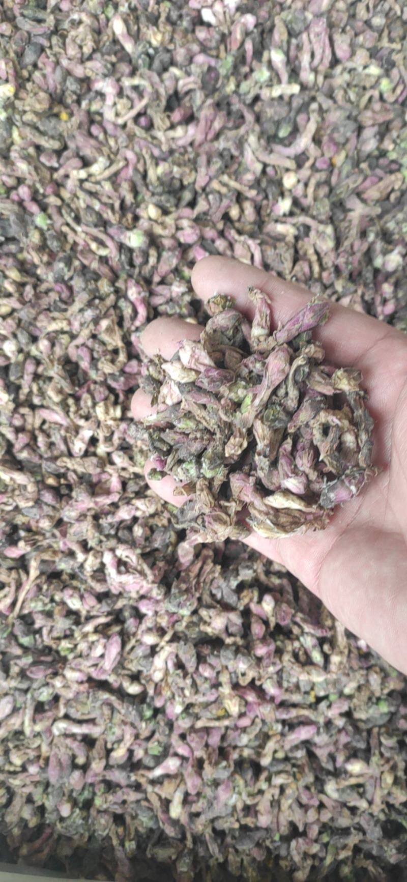 款冬花干货中药材量大从优欢迎选购