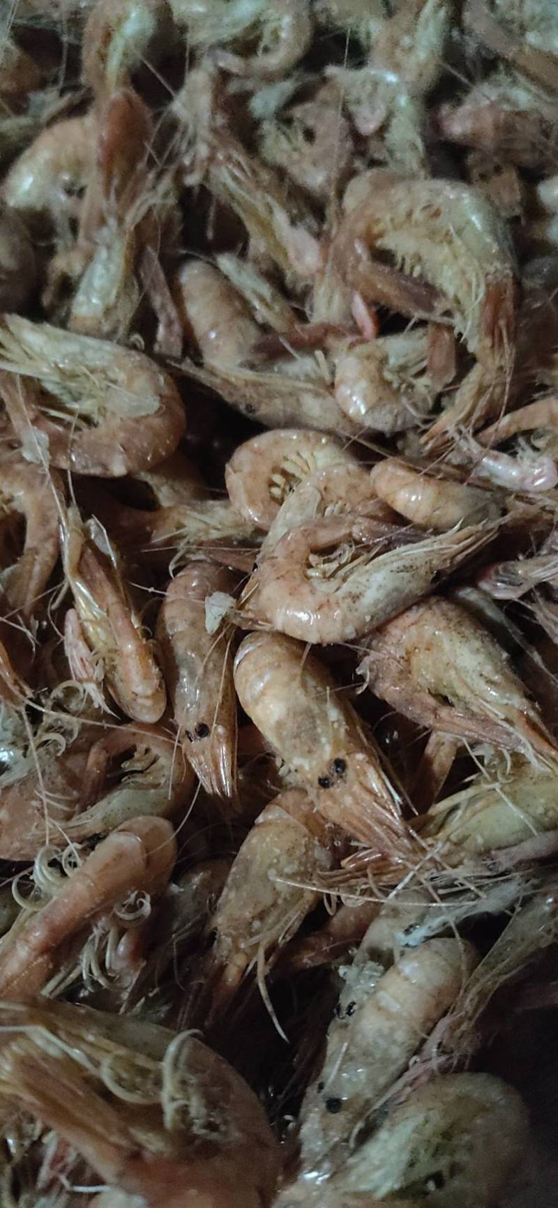 金钩海米，鲜，好吃，不咸，干吃也香欢迎新老朋友来洽谈，