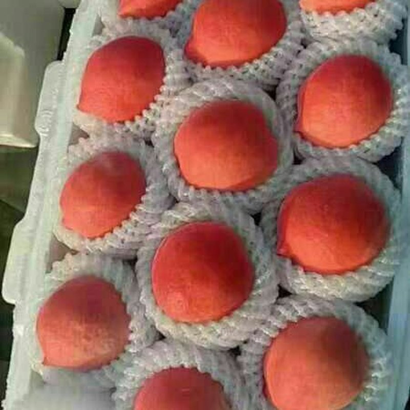 【桃】精品春雪桃大量上市一手货品【坏单包赔】
