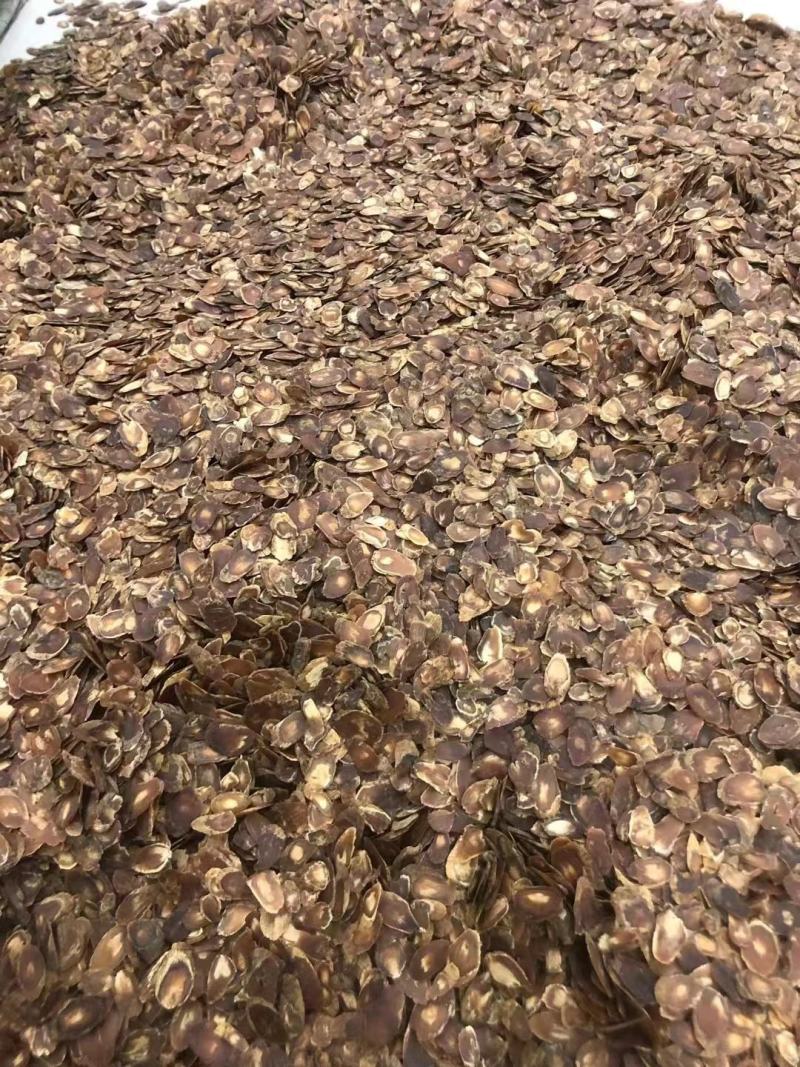 人参红参片，红参片大规格