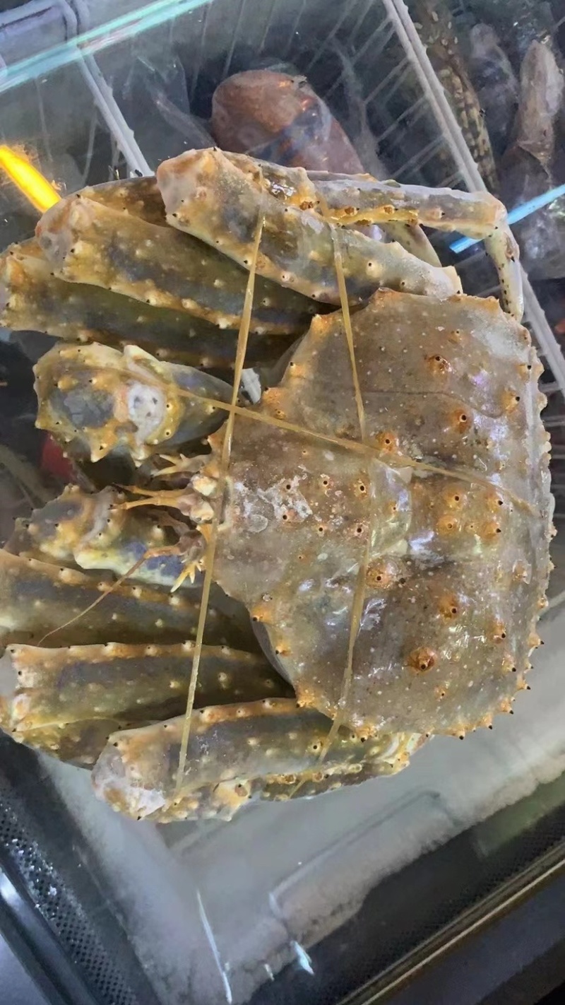 生冻帝王蟹