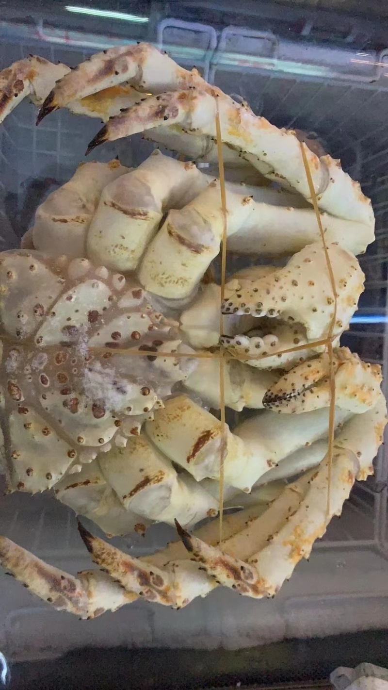 生冻帝王蟹