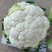 云南高原优质花菜