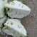 云南高原优质花菜