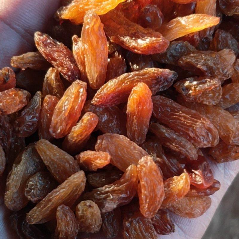 中大颗粒红香妃葡萄干，干度好，快递，整车都可以发
