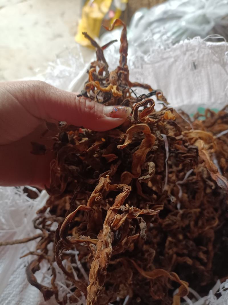 干豆角野豆角！3斤起批肉质软而不硬产地直发