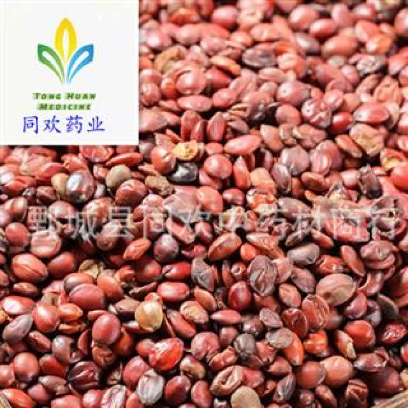 【国产炒酸枣仁】@【同欢药材】中药材批发供应