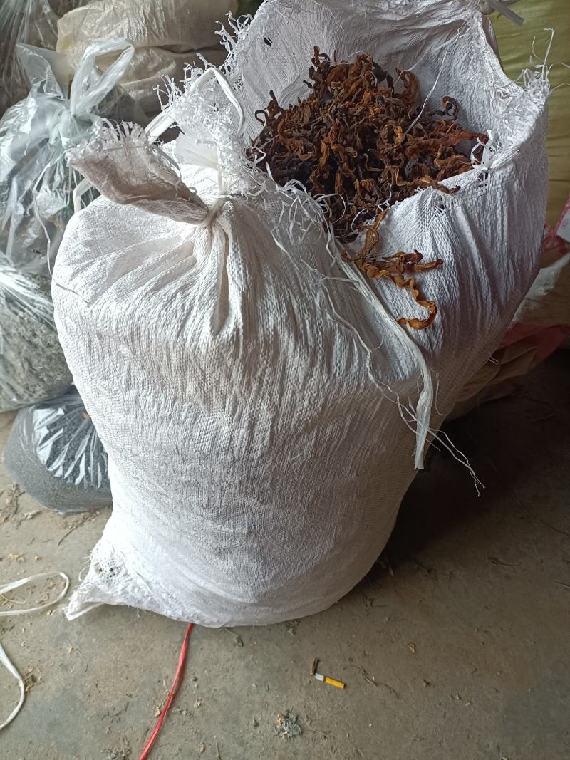 干豆角野豆角！3斤起批肉质软而不硬产地直发