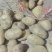 精品黄心土豆大甩卖，农家种植，皮薄个头大，等级多