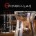 洋河镇中国梦52度白酒整箱6瓶浓香型特价白酒500ml