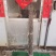 黄丁香，丁香树，金园丁香，北京丁香，潍坊，接穗嫁接条