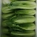 龙牙