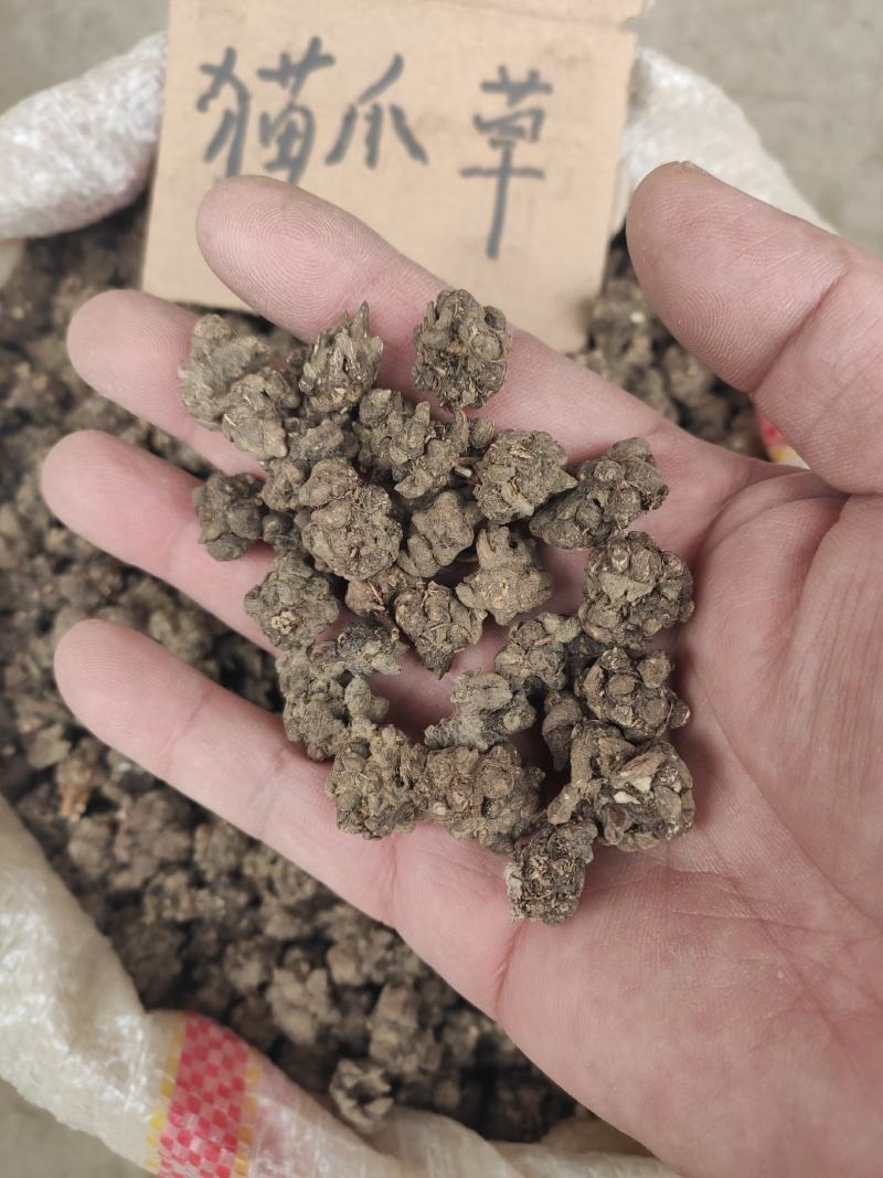 猫爪草干货猫爪草中药材量大从优欢迎选购！
