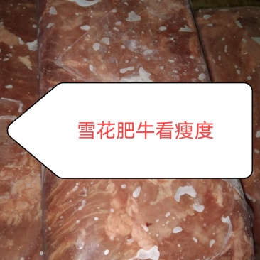 精品雪花肥牛，长年加工，价格美丽，质量保证，手续齐全。