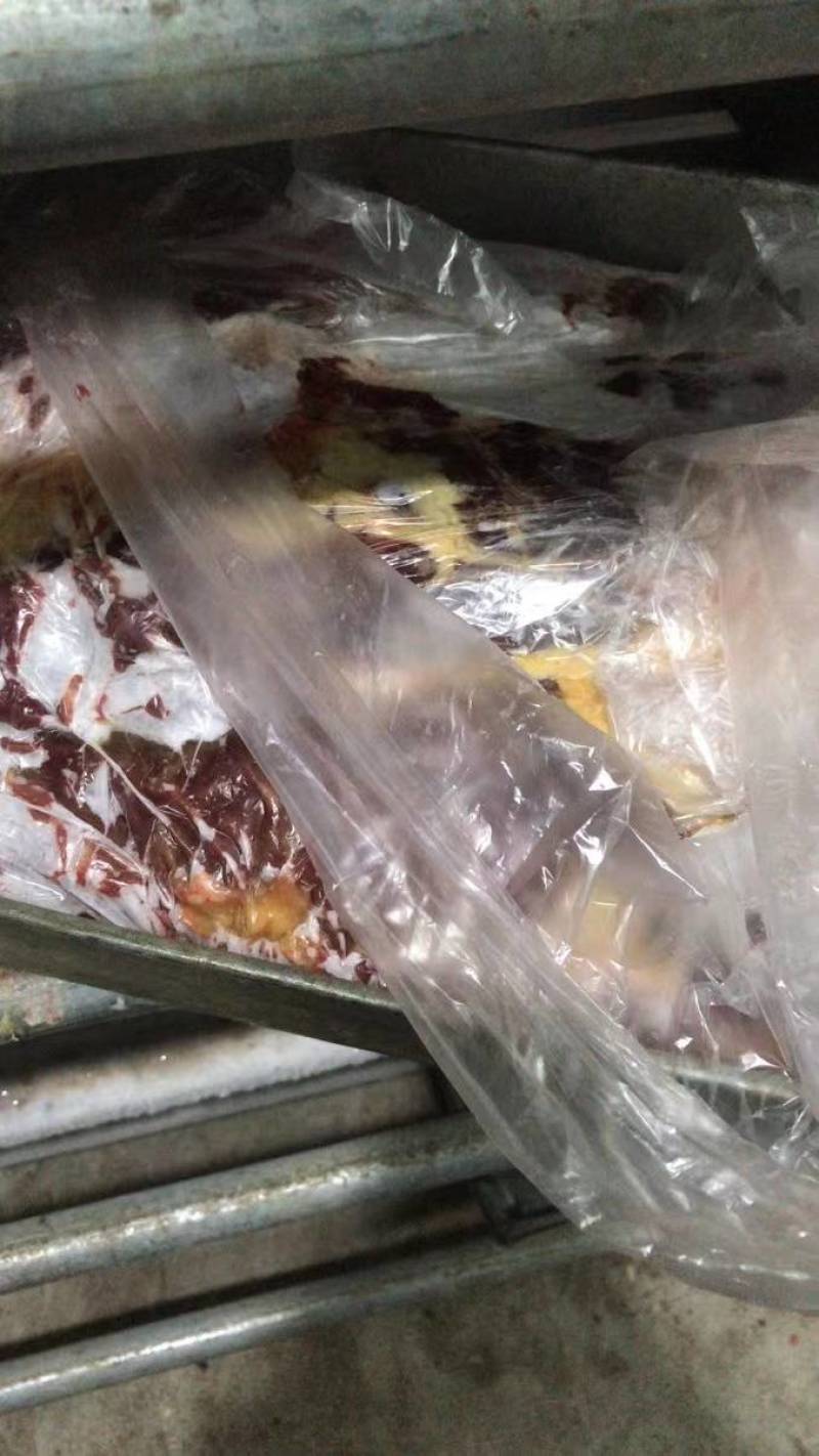 分割新鲜黄牛肉