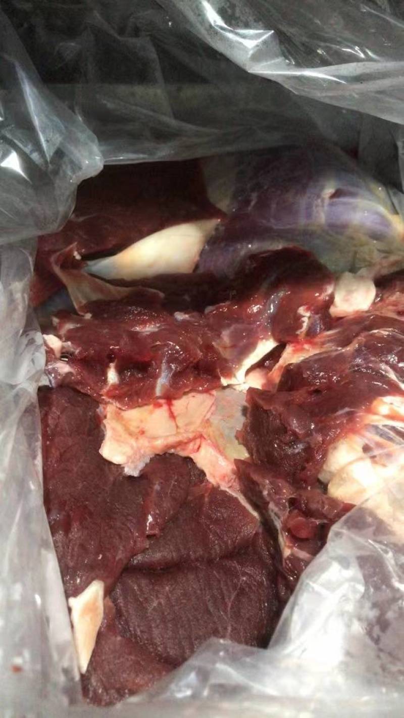 分割新鲜黄牛肉