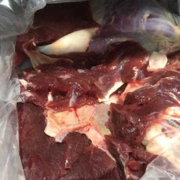 分割新鲜黄牛肉