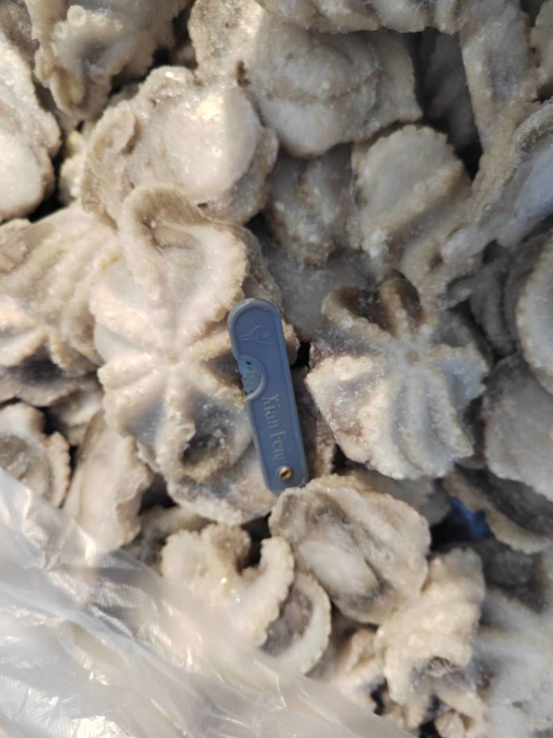 盐柔八爪鱼，干冰单冻八爪鱼，2中规格，有需要的老板联系我