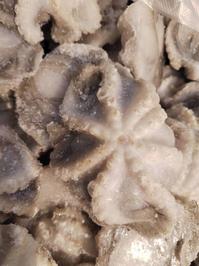 盐柔八爪鱼，干冰单冻八爪鱼，2中规格，有需要的老板联系我