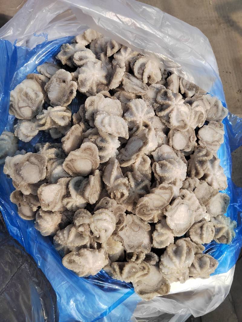 盐柔八爪鱼，干冰单冻八爪鱼，2中规格，有需要的老板联系我