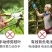电动修枝剪园林果树苗圃方便使用充电电动剪刀多功能园