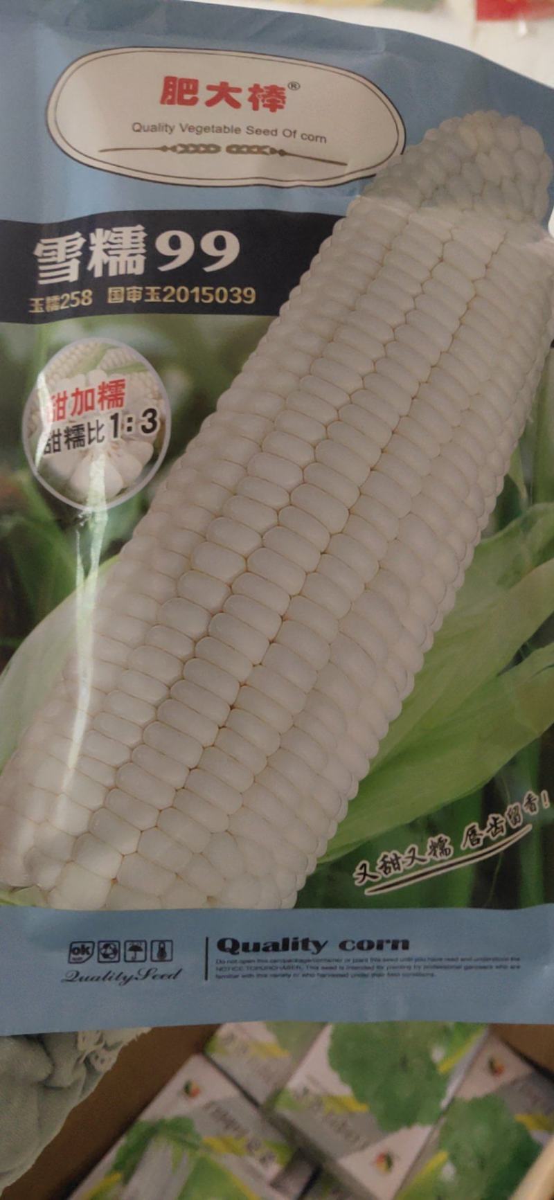 雪糯99玉米种子，甜加糯，又甜又糯，
