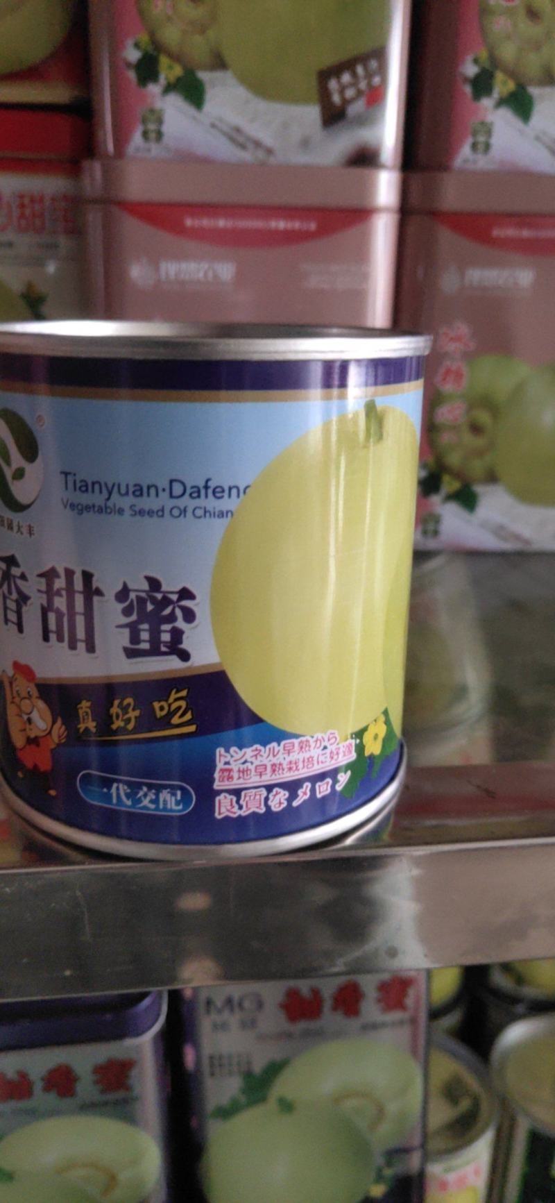 香甜蜜甜瓜种子，早熟品种，又甜又脆，香甜可口，